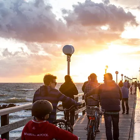 Haubenlerche 14 Fuhlendorf (Mecklenburg-Vorpommern)